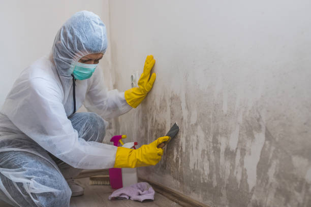 Local water damage restoration in Flatwoods, KY
